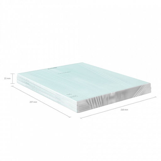 Цена за 3 шт. Тетрадь общая ученическая с пластиковой обложкой на скобе ErichKrause Классика CoverPrо fizzy, Pastel, сиреневый, А4, 96 листов, клетка фото 20