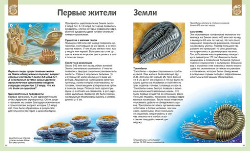 Универсальная школьная энциклопедия (нов.оф.). Перруден Ф., Камбурнак Л., Симон Ф.,... - Махаон фото 6