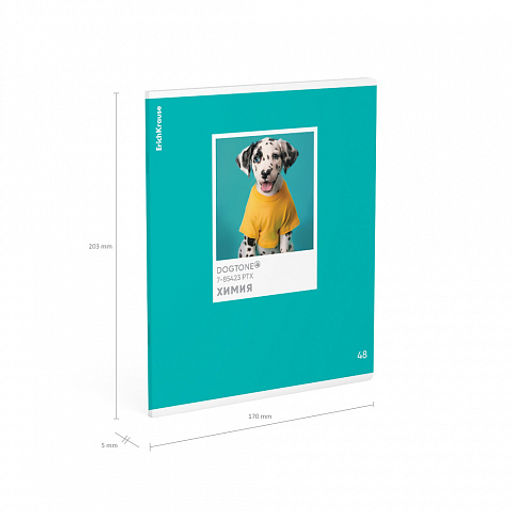 Цена за 5 шт. Тетрадь общая ученическая ErichKrause DogTone, Химия, 48 листов, клетка, выборочный УФ-лак  фото 4