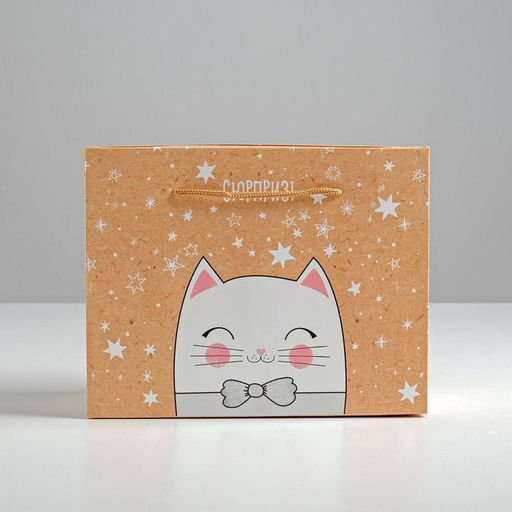 Пакеткоробка Сюрприз!, 23 х18 х11 см - Дарите счастье фото 2