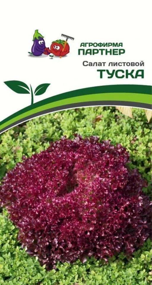 Салат листовой Туска - Партнер фото 2