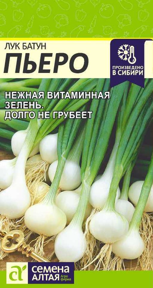 Лук Батун Пьеро/Сем Алт/цп 1 гр. (2027 / 3577)