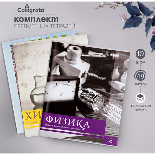 Тетради предметные 48 листов, Calligrata «Чёрное-белое», 10 предметов, серые листы