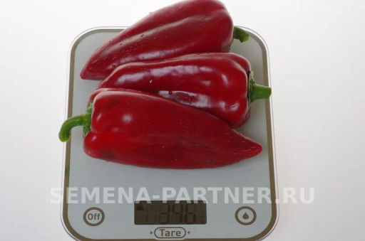 Перец сладкий Лакшери - Партнер фото 4