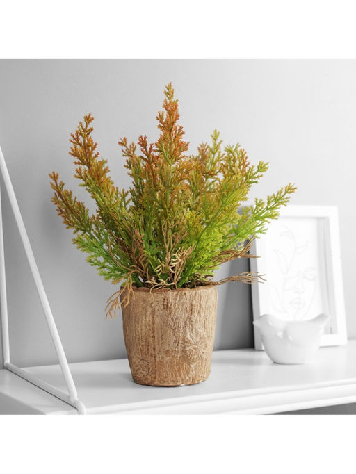 Искусственный цветок в горшке «Кипарисовик комнатный», 9×23 см, МИКС