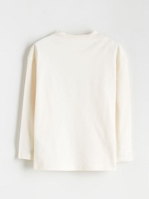 Bisiklet Yaka Dinozor Bask?l? Erkek ?ocuk Sweatshirt