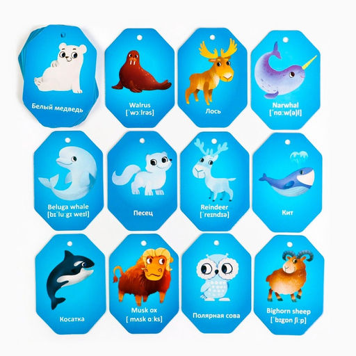 Карточки на кольце для изучения английского языка Животные полюсов, 3+ - Лас играс фото 8
