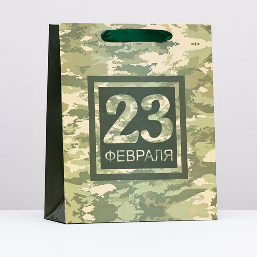 Пакет подарочный ламинированный 23 февраля, 26?32?12 см