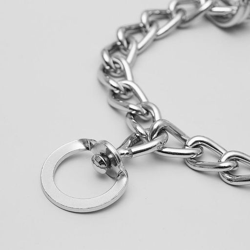 Ошейник - полуудавка строгий с защитными колпачками, 4 мм х 60 см - Пижон фото 3