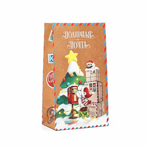 Цена за 5 шт. Пакет подарочный без ручек новогодний «Полярная почта», 10×19.5×7 см