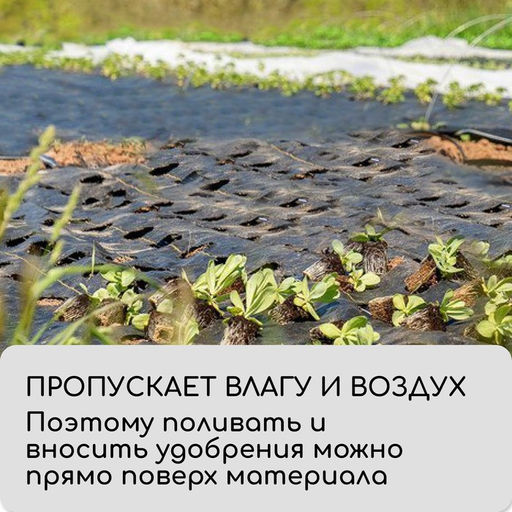 Агроткань застилочная, с разметкой, 5×3.2 м, плотность 100 г/м², полипропилен, Greengo, Эконом 50%