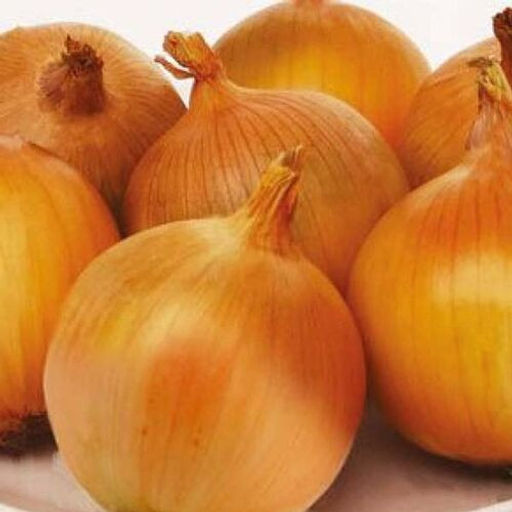 6261U Лук репчатый Форвард 1гр