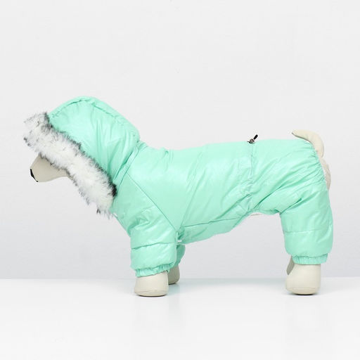 Комбинезон Глянец, размер XS (ДС 19, ОГ 28, ОШ 19 см, до 3 кг), мятный - Simaland фото 4