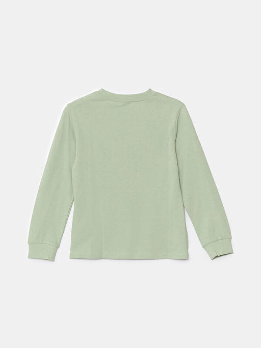 Bisiklet Yaka Erkek ?ocuk Ti??rt - Waikiki фото 2