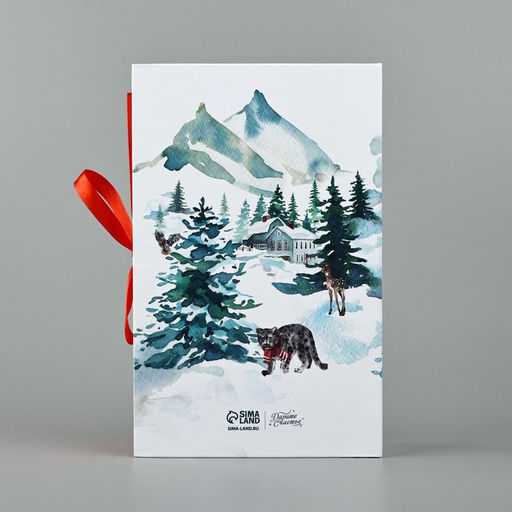 Коробка - книга новогодняя С Новым годом, 20?12.5?5 см