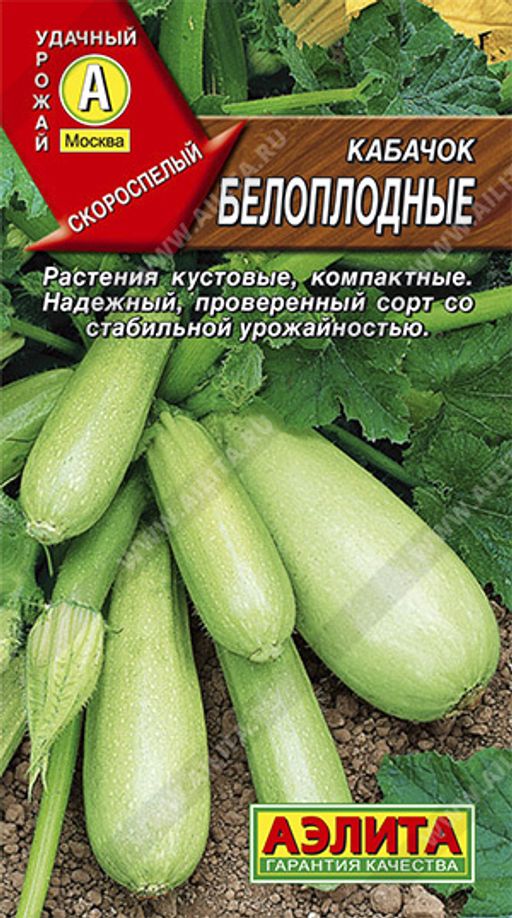 Кабачок Белоплодные