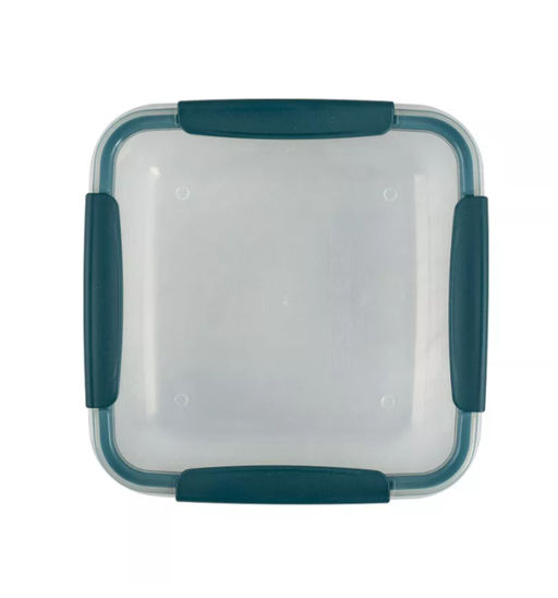 Контейнер 0,8л BATTERFLY BRIGHT герм хвоя