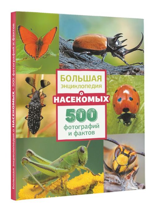 Большая энциклопедия о насекомых. 500 фотографий и фактов - Аст фото 2