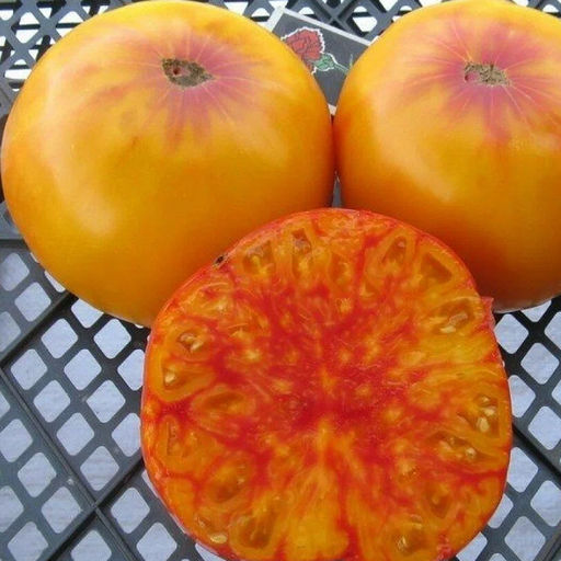 7140Т Томат Сладости Вирджинии 10шт