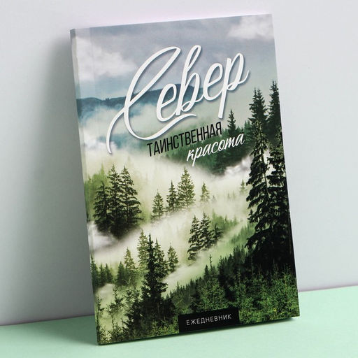 Цена за 2 шт. Ежедневник «Север», 52 листа, 10 х 14 см
