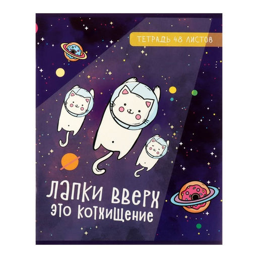 Комплект тетрадей из 5 штук, 48 листов в клетку Calligrata «Космокот», обложка мелованный картон, блок офсет