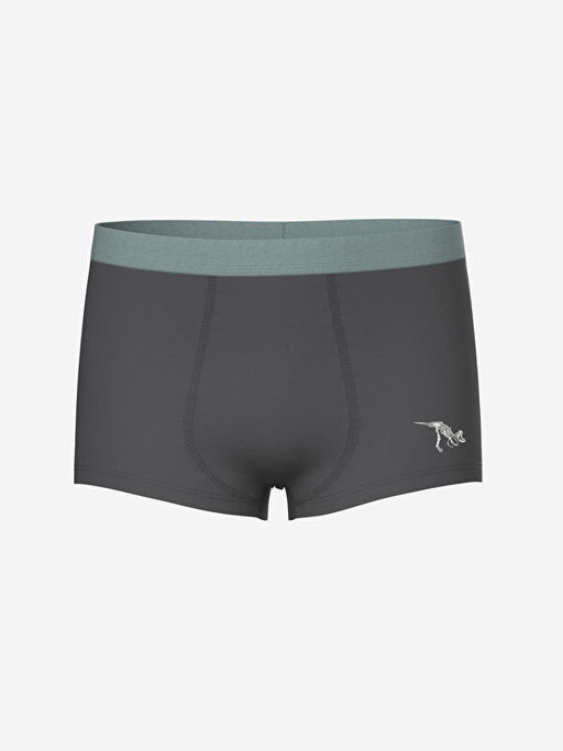 Bask?l? Erkek ?ocuk Boxer 3l? - Waikiki фото 2