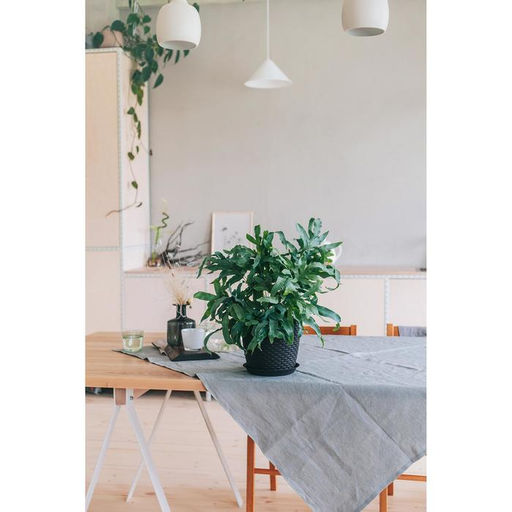 Горшок для цветов с поддоном «Ротанг», 4.7 л, d=15 см, h=14 см, пластиковый, коричневый