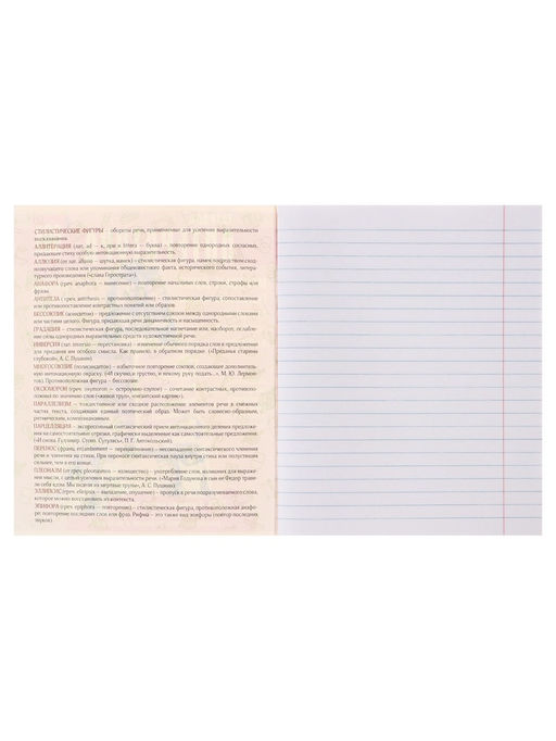 Цена за 5 шт. Предметная тетрадь по литературе Calligrata TOP «Журнал», 48 листов, в линейку, со справочным материалом, картонная обложка