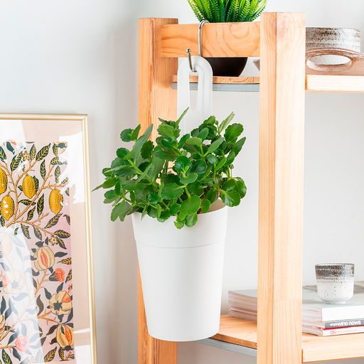 Горшок для цветов Tarragon подвесной d120мм, 1,3 л арт. Р2216166, Р2231044