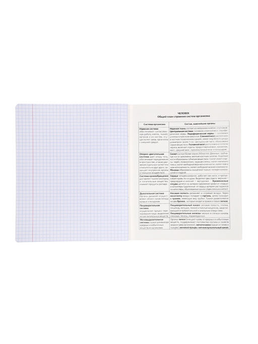 Комплект 12 предметных тетрадей 48 листов, справочная информация, 60 г, Пастель