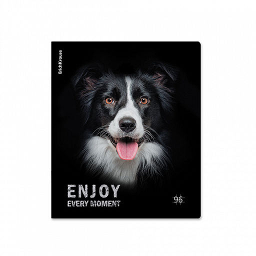 Цена за 5 шт. Тетрадь общая ученическая ErichKrause Собаки, 96 листов, клетка, матовая ламинация_MIX-PACK  фото 5