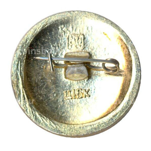 Значок Золотое Кольцо - Юрьев Польский