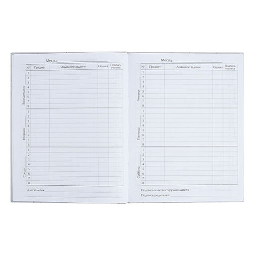 Дневник школьный для 1-11 классов «Аниме. Парень и небо», твёрдая обложка, глянцевая ламинация, 40 листов