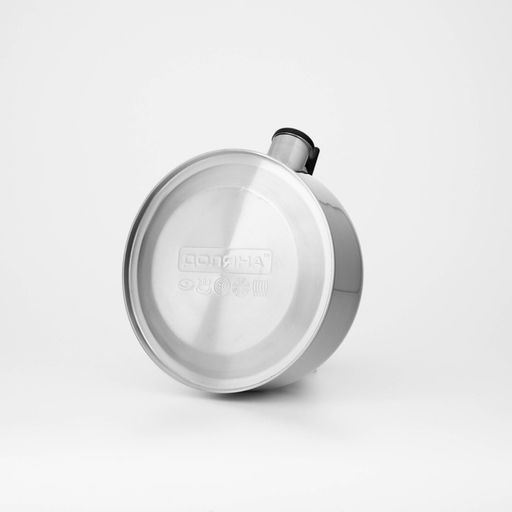 Чайник Доляна «Чёрная ночь», 2 л, со свистком, индукция, нержавеющая сталь, хромированный