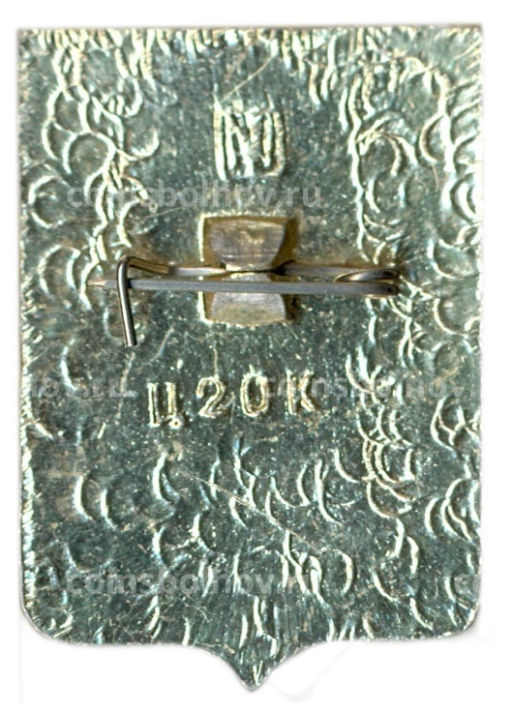 Значок Шацк