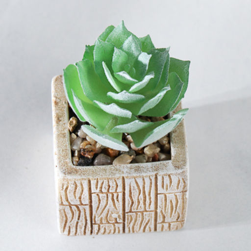 Цветочная композиция Кактус / WER-15 /уп 12/288/ микс - Галеонтрейд фото 16