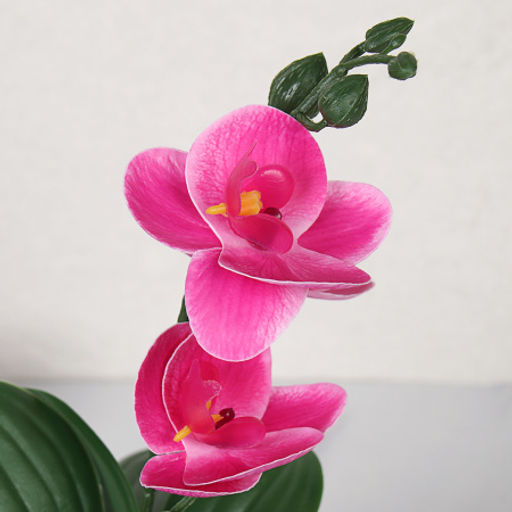 Цветочная композиция Орхидея 27 см / ZH-010 /уп 10/120/ - Галеонтрейд фото 3