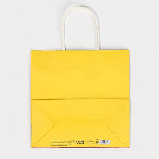 Цена за 2 шт. Пакет подарочный, упаковка, Подарочек, 22?22?11 см