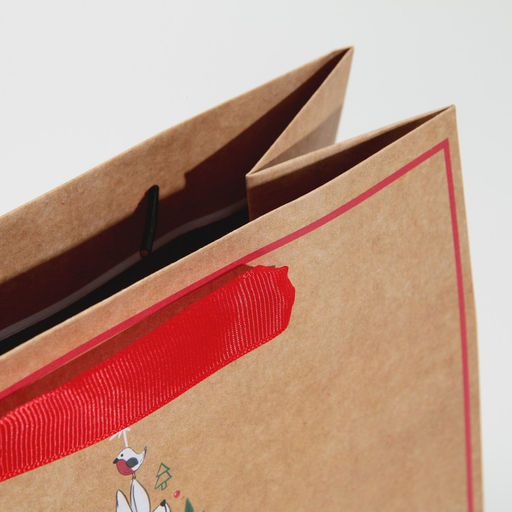 Цена за 2 шт. Пакет подарочный новогодний крафтовый квадратный «Друзья», 22×22×11 см