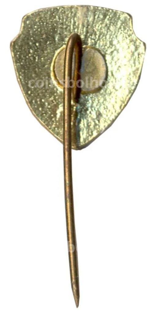 Значок Каунас