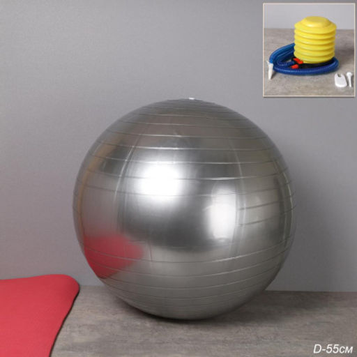 Мяч гимнастический 55см / FB55-GR / насос + игла / Серый / уп 40 шт