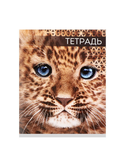 Цена за 10 шт. Тетрадь 48 листов в клетку, Calligrata Дикие кошки, МИКС  фото 5
