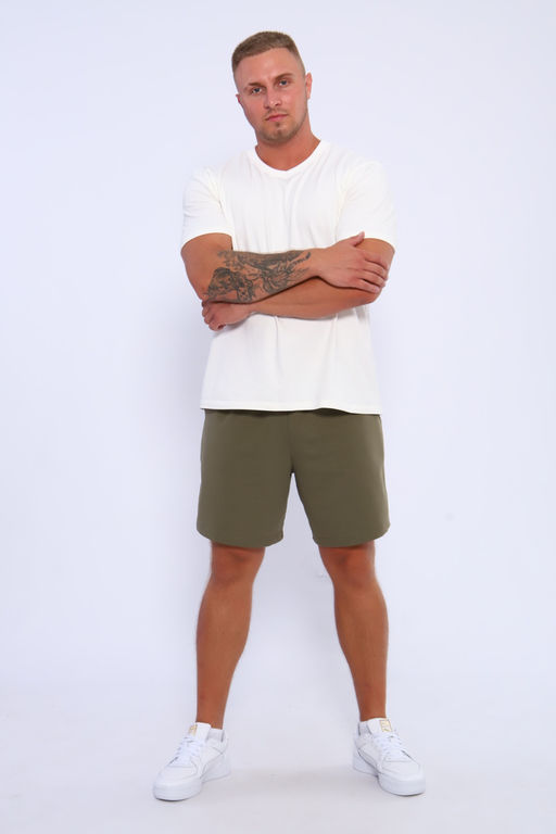 Шорты мужские 35336