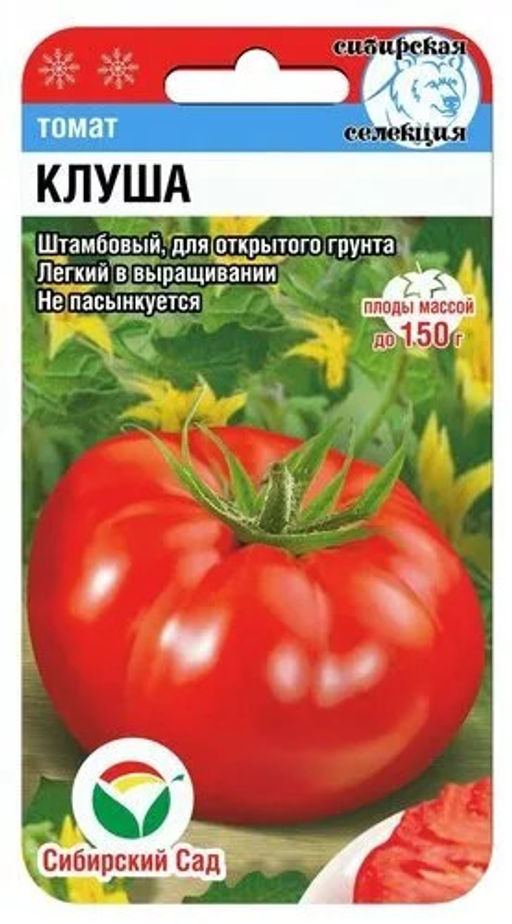 Клуша томат 20шт (сс)