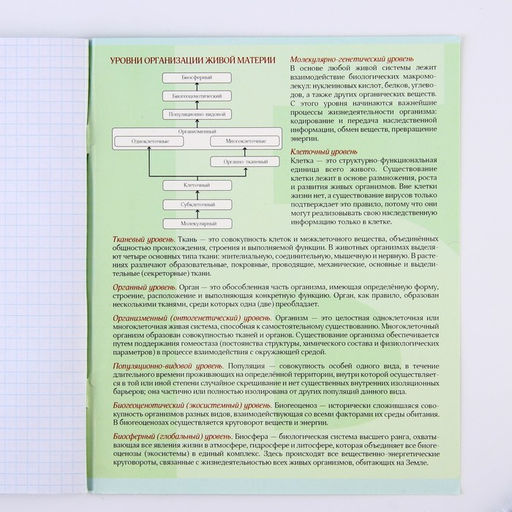 Предметная тетрадь, 48 листов, ВЕЛИКИЕ ЛИЧНОСТИ, со справ. мат. Биология, обложка мелованный картон 230 гр., внутренний блок в клетку 80 гр., белизна 96% - Artfox study фото 7