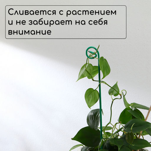 Цена за 10 шт. Колышек для подвязки растений, h=40 см, d=3 мм см, проволочный, зелёный, Greengo  фото 3