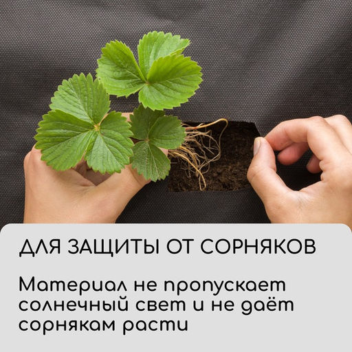 Материал для ландшафтных работ, 5×3.2 м, плотность 120 г/м², спанбонд с УФ-стабилизатором, чёрный, Greengo, Эконом 30% фото 6