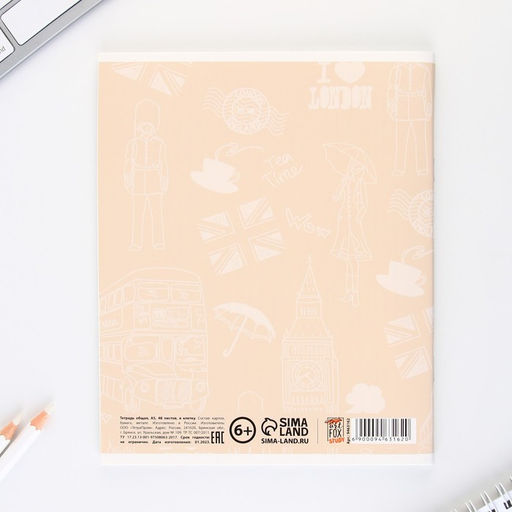 Предметная тетрадь, 48 листов, КОТ, со справочными материалами Английский язык, обложка мелованный картон 230 гр., внутренний блок в клетку 80 гр., белизна 96%,блок №1. - Artfox study фото 6