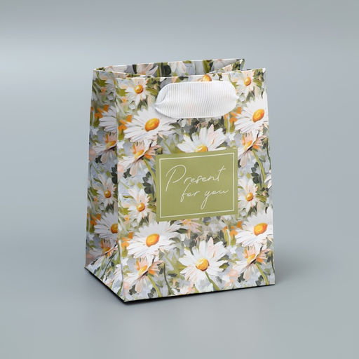 Цена за 4 шт. Пакет подарочный ламинированный, упаковка, Present, 9×12×6.5 см