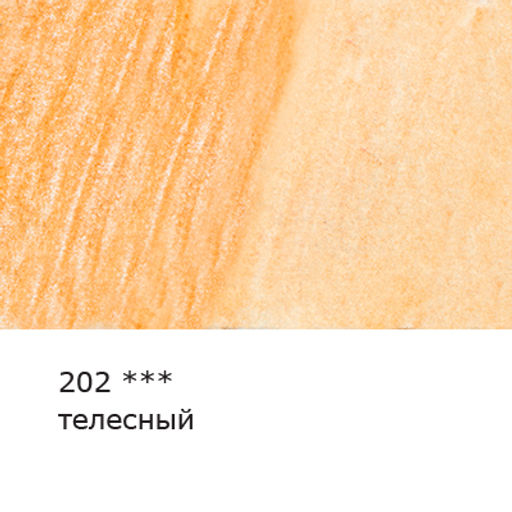 VISTA-ARTISTA Gallery VGWP Карандаш акварельный художественный заточенный 6 шт. 202 Телесный (Flesh)